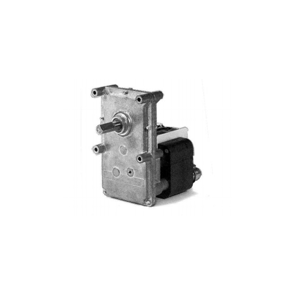 Molon AC Gearmotor, 6.3 rpm, Open, 115V ZEM60061M Zoro